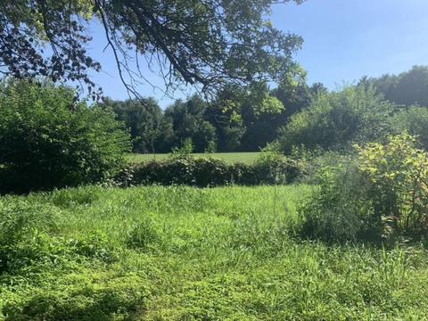 3910 Buffalo Rd, Buchanan, MI 49107 photo 10