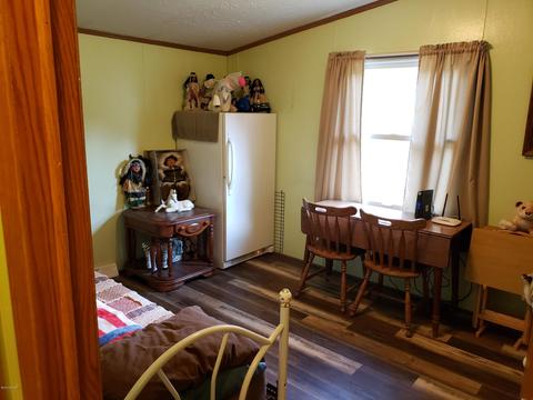 3959 Johnson Rd, Gowen, MI 49326 photo 18
