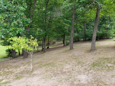 3959 Johnson Rd, Gowen, MI 49326 photo 22