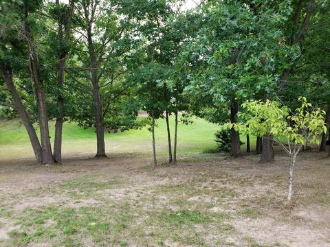 3959 Johnson Rd, Gowen, MI 49326 photo 23