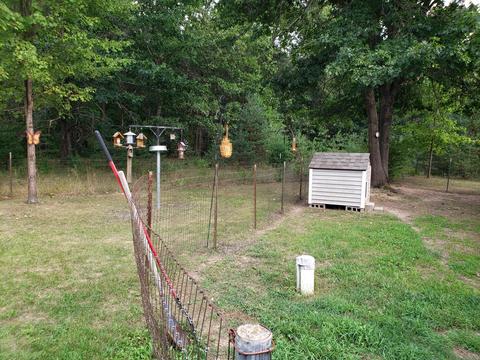 3959 Johnson Rd, Gowen, MI 49326 photo 7