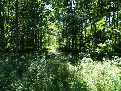 3955 Lily Ct, Dorr, MI 49323 photo 15