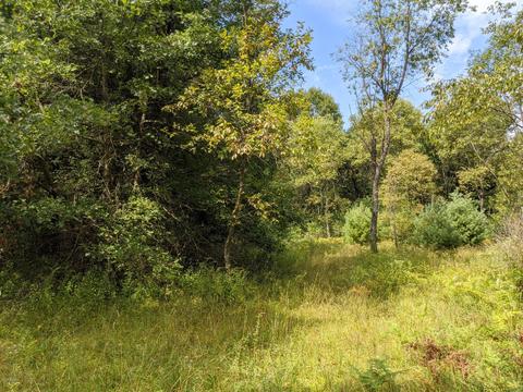 1381 E Monroe St, White Cloud, MI 49349 photo 24