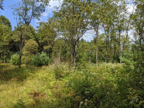 1381 E Monroe St, White Cloud, MI 49349 photo 23