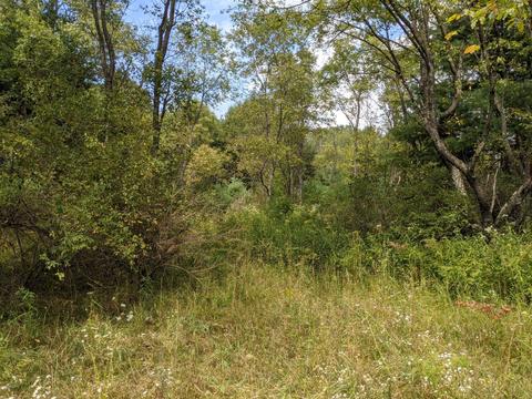 1381 E Monroe St, White Cloud, MI 49349 photo 22
