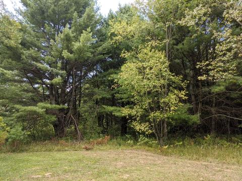 1381 E Monroe St, White Cloud, MI 49349 photo 21