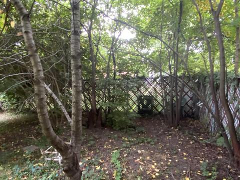 97 E Pearl St, Coldwater, MI 49036 photo 20