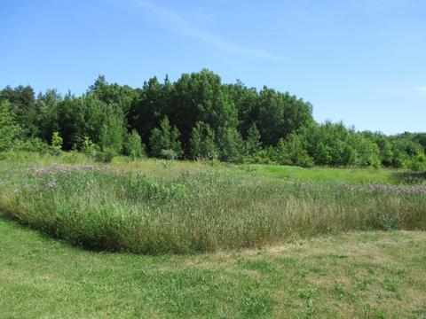 3062 E Us-10, Custer, MI 49405 photo 25