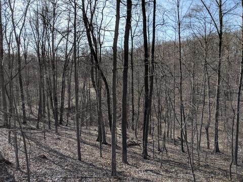 8745 Marsh Rd, Plainwell, MI 49080 photo 31