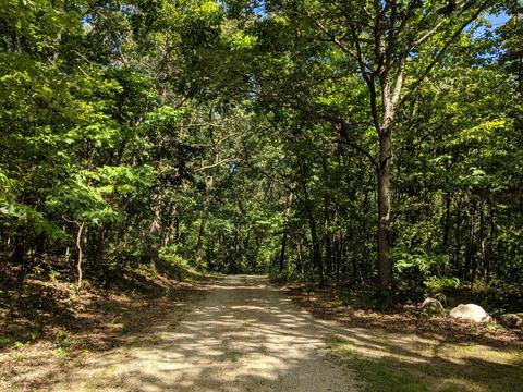 8745 Marsh Rd, Plainwell, MI 49080 photo 29