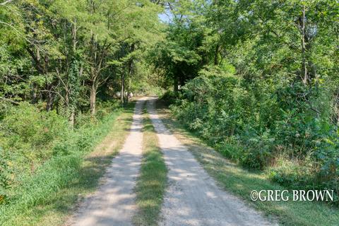 11440 Ellis Rd, Belding, MI 48809 photo 2