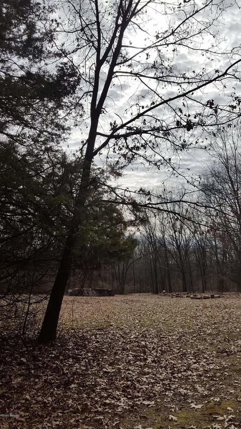 3155 E Stage Rd, Ionia, MI 48846 photo 29