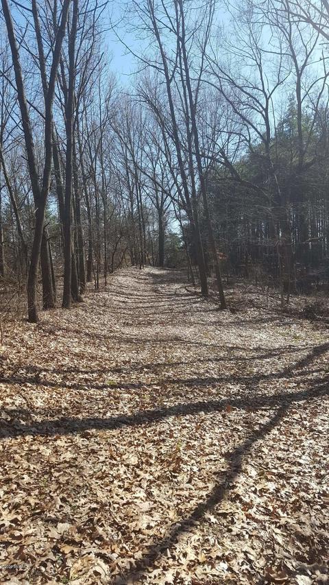 3155 E Stage Rd, Ionia, MI 48846 photo 28