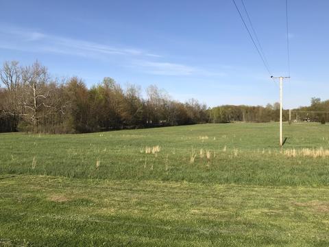 50417 34th Ave, Bangor, MI 49013 photo 5