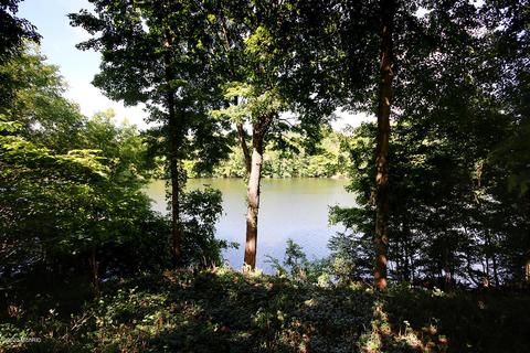 613 River St, Buchanan, MI 49107 photo 40