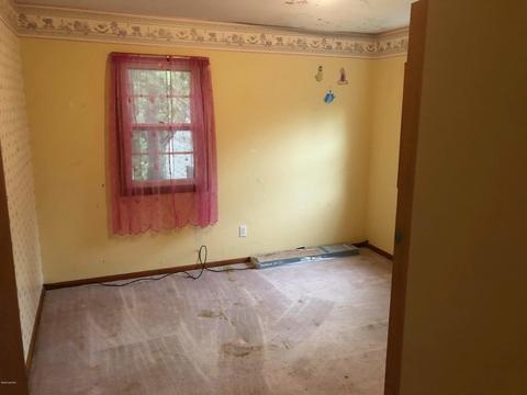 12368 Cabin Dr NE, Belding, MI 48809 photo 12