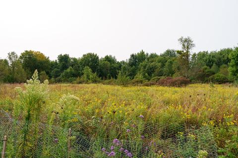 1376 Hoffman Rd, Climax, MI 49034 photo 33