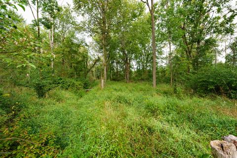 1376 Hoffman Rd, Climax, MI 49034 photo 34