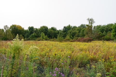 1376 Hoffman Rd, Climax, MI 49034 photo 43