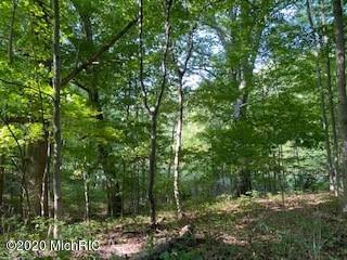 54592 Lawrence Rd, Marcellus, MI 49067 photo 16