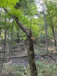 54592 Lawrence Rd, Marcellus, MI 49067 photo 17
