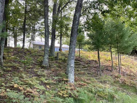 5522 N Mac Rd, Irons, MI 49644 photo 10