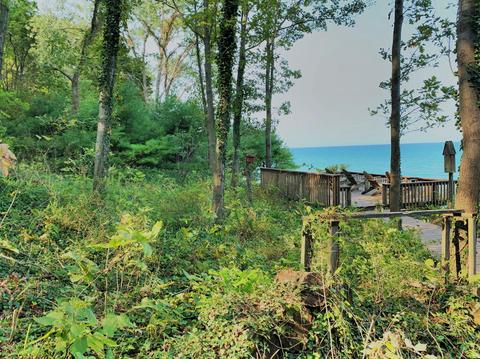 7999 Harbert Rd, Harbert, MI 49115 photo 19