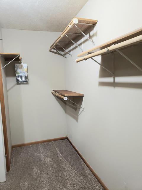 3918 Chestnut Ave, Newaygo, MI 49337 photo 21