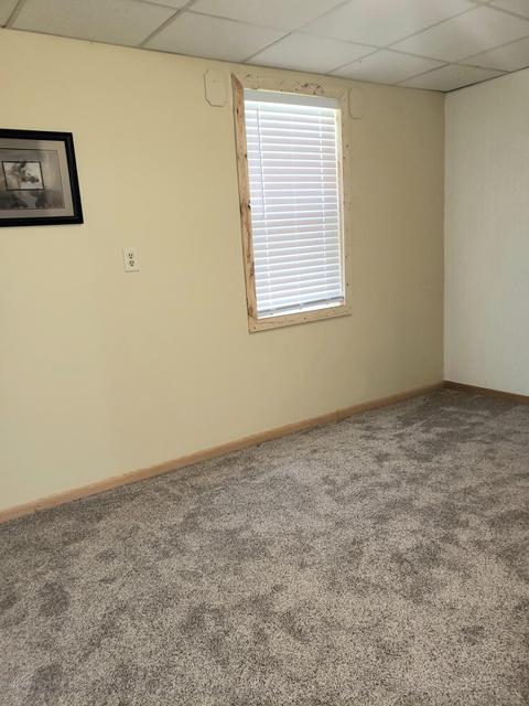 3918 Chestnut Ave, Newaygo, MI 49337 photo 30
