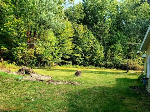 3918 Chestnut Ave, Newaygo, MI 49337 photo 36