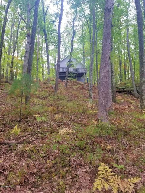 9835 S Oxeye Ave, Baldwin, MI 49304 photo 7