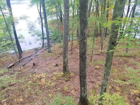 9835 S Oxeye Ave, Baldwin, MI 49304 photo 22