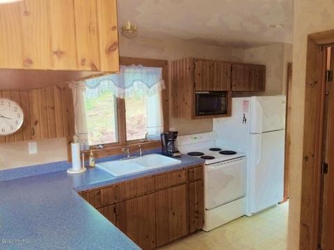 9835 S Oxeye Ave, Baldwin, MI 49304 photo 9