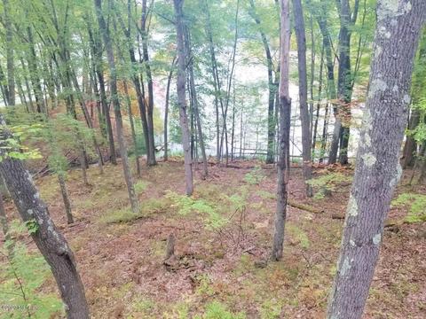9835 S Oxeye Ave, Baldwin, MI 49304 photo 23