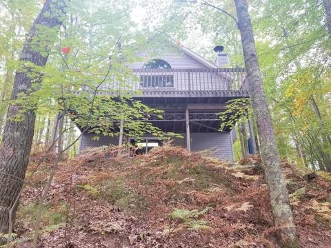 9835 S Oxeye Ave, Baldwin, MI 49304 photo 4