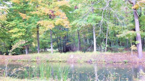 345 E Mill St, Athens, MI 49011 photo 43