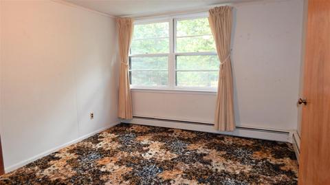 345 E Mill St, Athens, MI 49011 photo 65