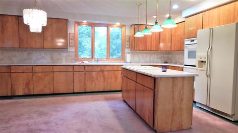 345 E Mill St, Athens, MI 49011 photo 50