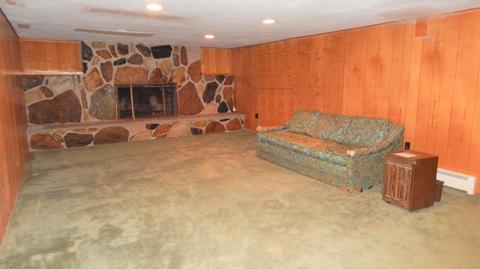 345 E Mill St, Athens, MI 49011 photo 28
