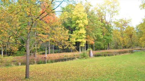 345 E Mill St, Athens, MI 49011 photo 7