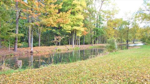 345 E Mill St, Athens, MI 49011 photo 6