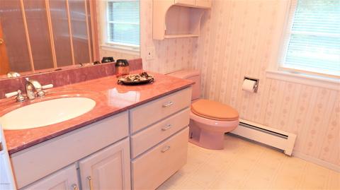 345 E Mill St, Athens, MI 49011 photo 64