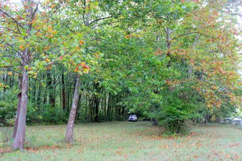 720 Leaf Lane, Coldwater, MI 49036 photo 5