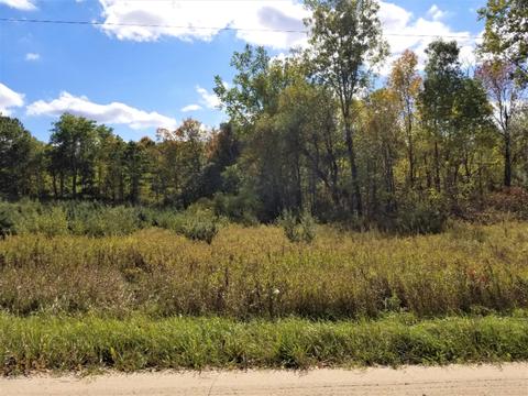 tbd Pakes Rd, Gowen, MI 49326 photo 3