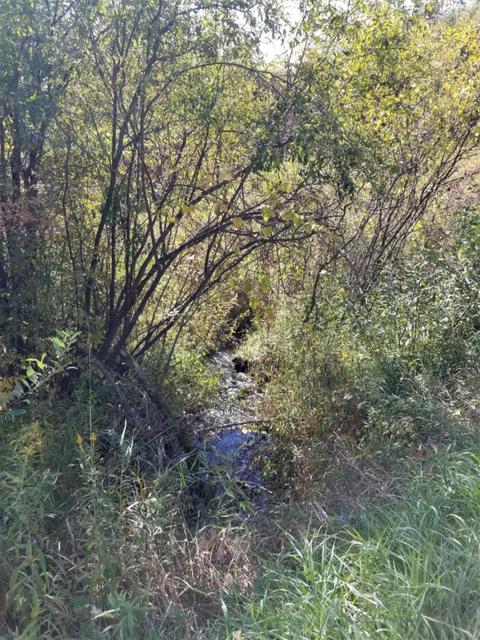 tbd Pakes Rd, Gowen, MI 49326 photo 4