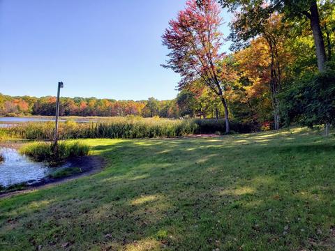 6780 E Madison Rd, Walkerville, MI 49459 photo 13