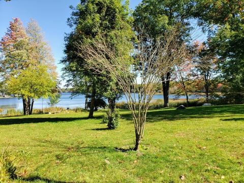 6780 E Madison Rd, Walkerville, MI 49459 photo 16