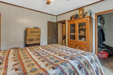 1023 S Main St, Crystal, MI 48818 photo 15