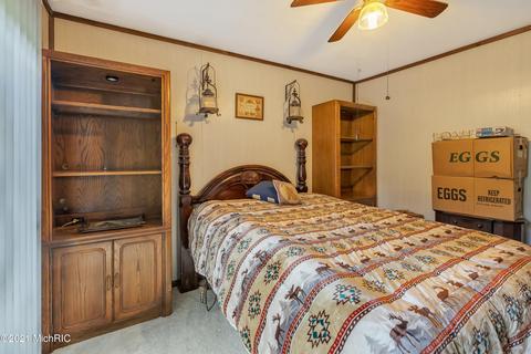1023 S Main St, Crystal, MI 48818 photo 14