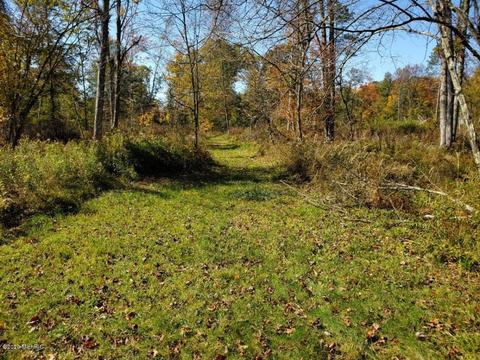 6762 M37, Baldwin, MI 49304 photo 30